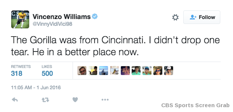 Illustration for article titled Steelers Linebacker Uses Dead Gorilla To Burn Cincinnati